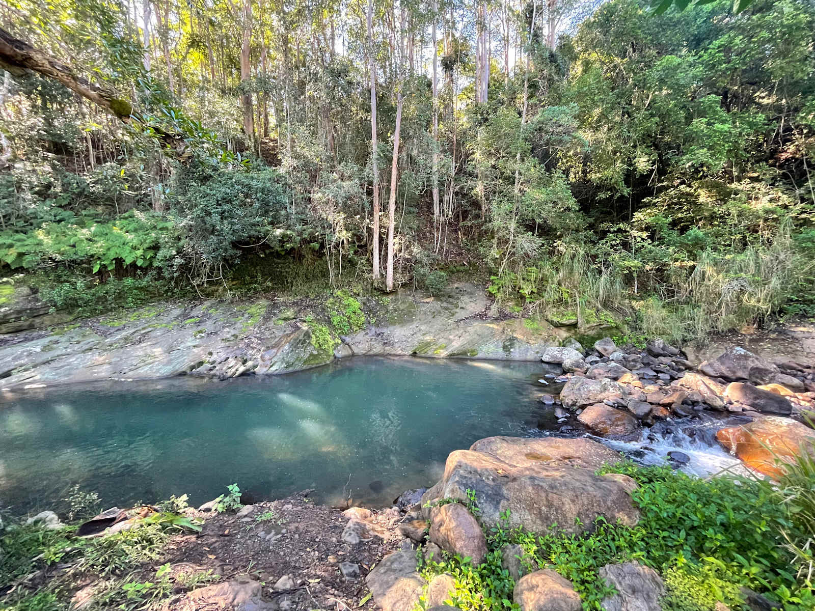 Cedar Waters land — Grounded Permaculture