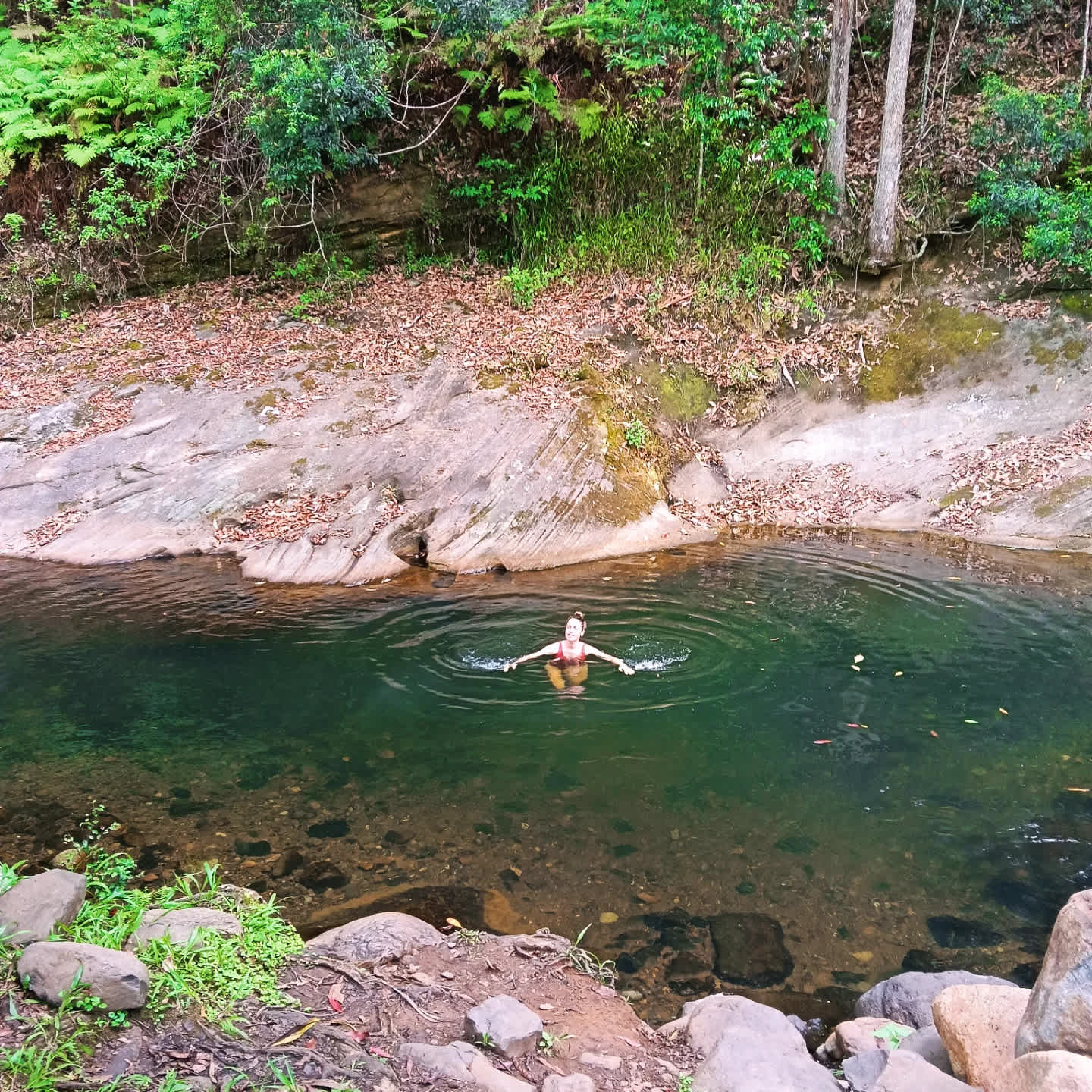 Cedar Waters site — Grounded Permaculture